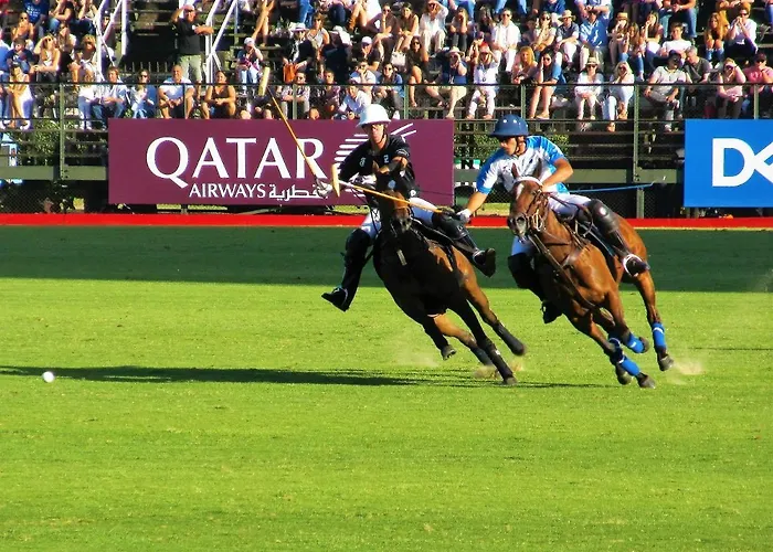 Coeur Grand 3 Pieces Avec Parking 多维尔