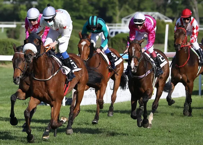 Coeur Grand 3 Pieces Avec Parking *